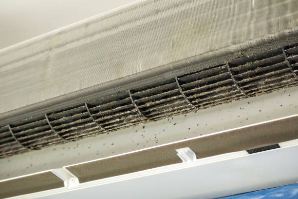 Best Residential Air Duct Cleaning  in Willow Creek, CA